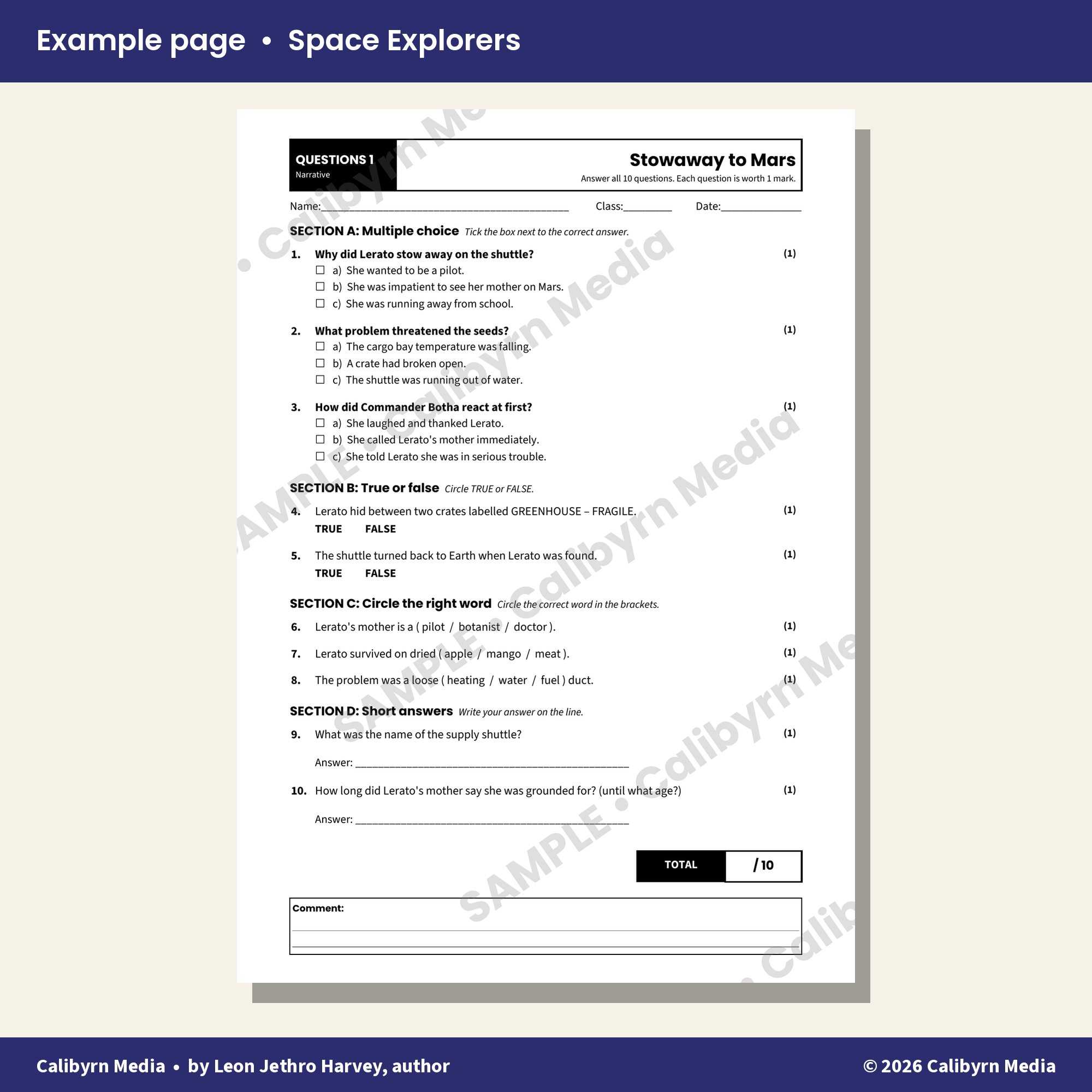 example page